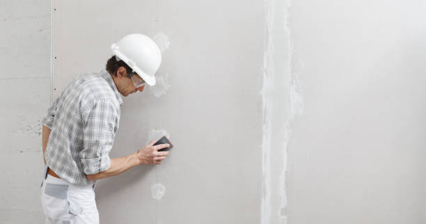  East Lansing, MI Mold Removal Pros