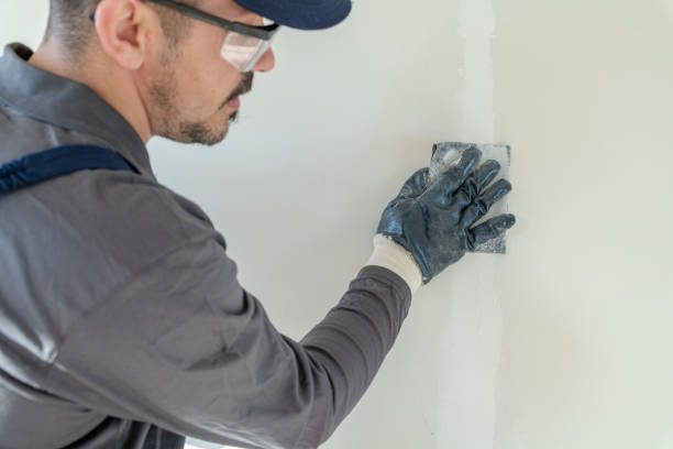 Best Air Quality Testing for Mold Spores  in East Lansing, MI